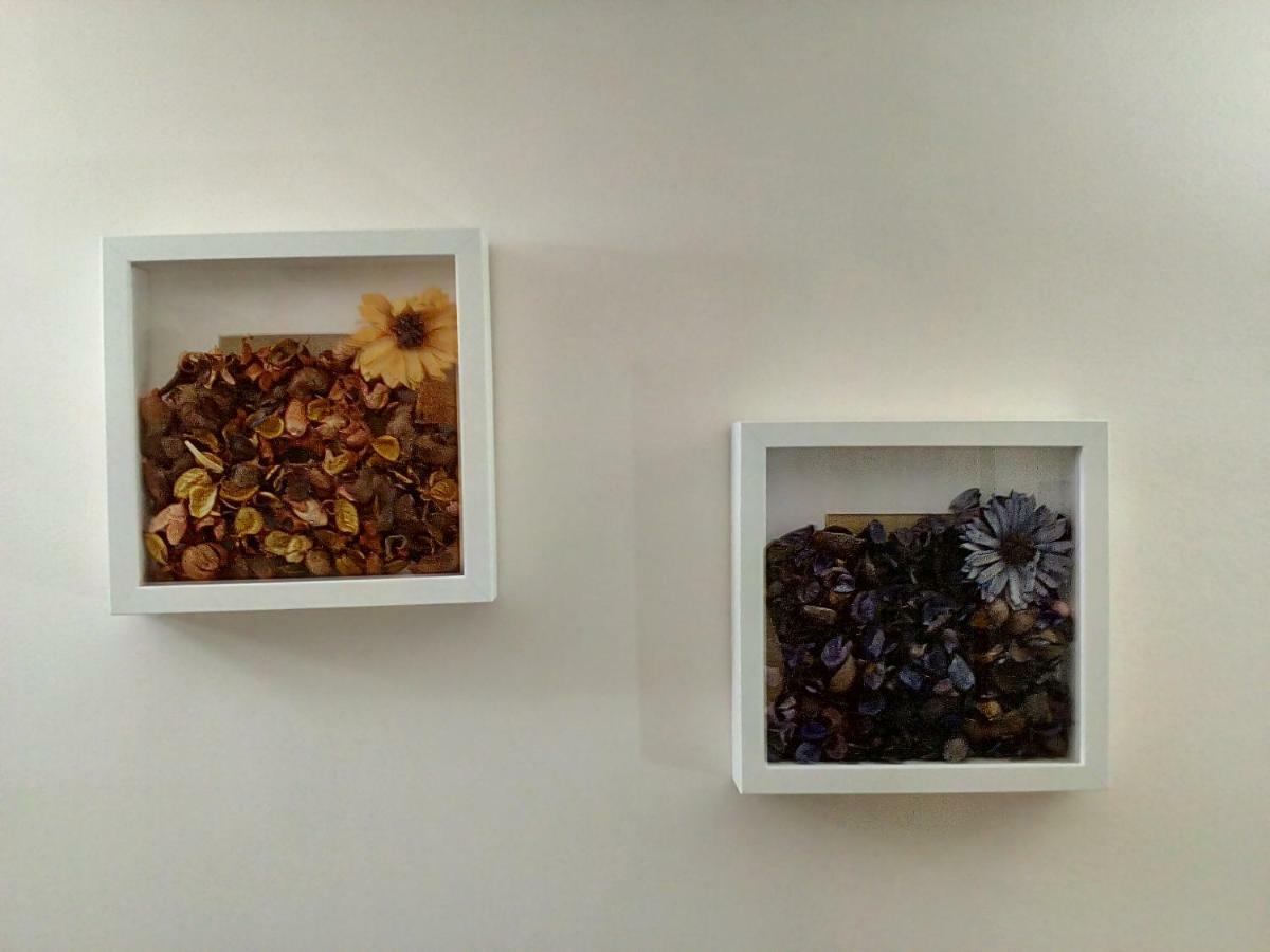 Casa Manzoni Apartment คาตาเนีย ภายนอก รูปภาพ